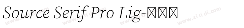 Source Serif Pro Lig字体转换